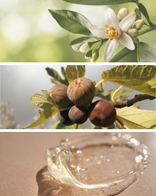 Load image into Gallery viewer, NOTION Clarify + Comfort Toning Solution