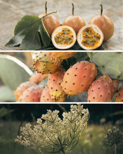 Load image into Gallery viewer, NUANCE Complete Recovery Night Oil